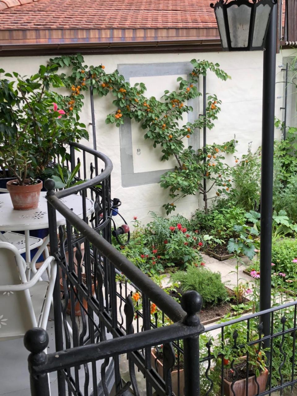 Good4Yew Bnb Zurich Extérieur photo