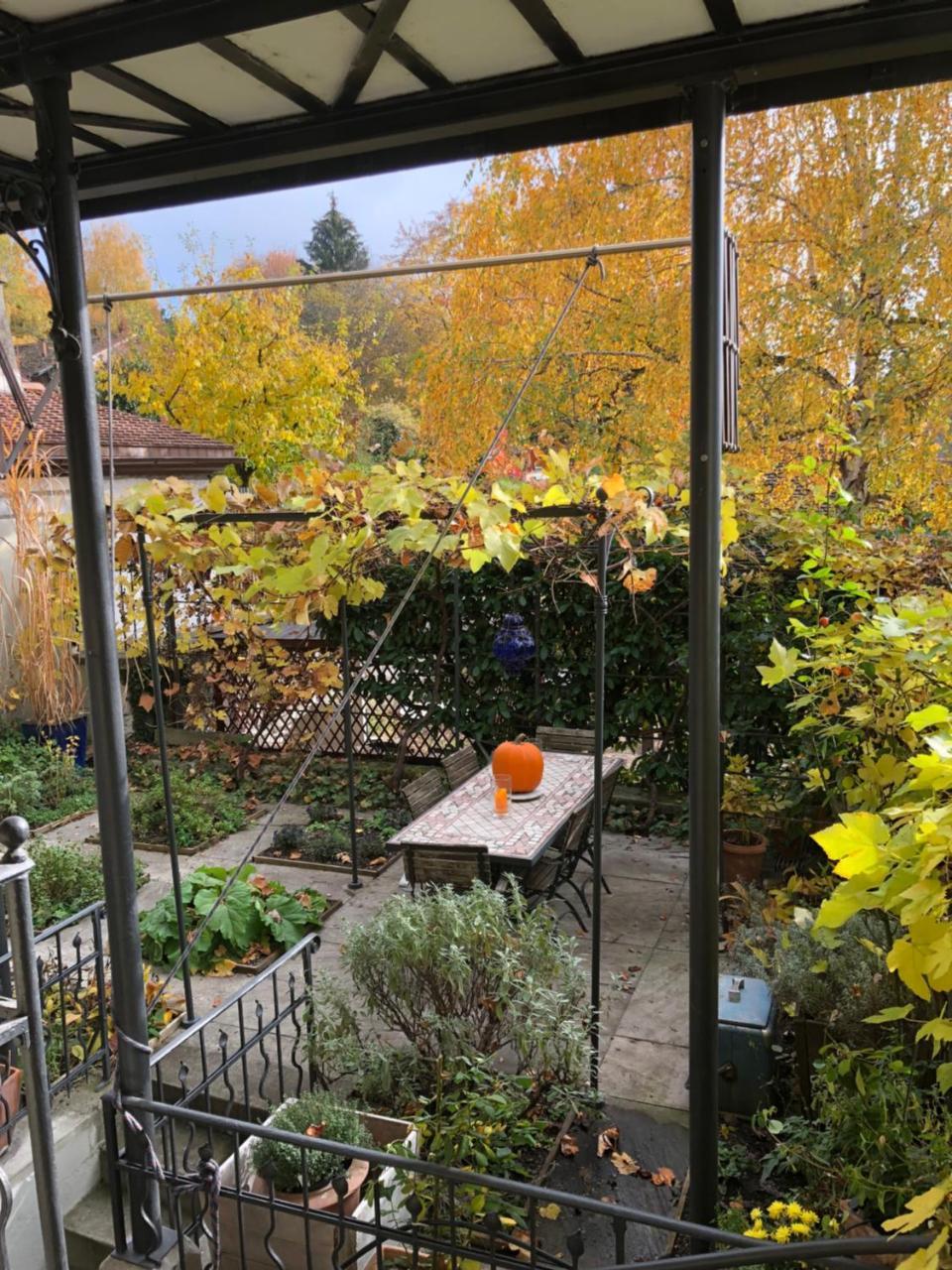 Good4Yew Bnb Zurich Extérieur photo